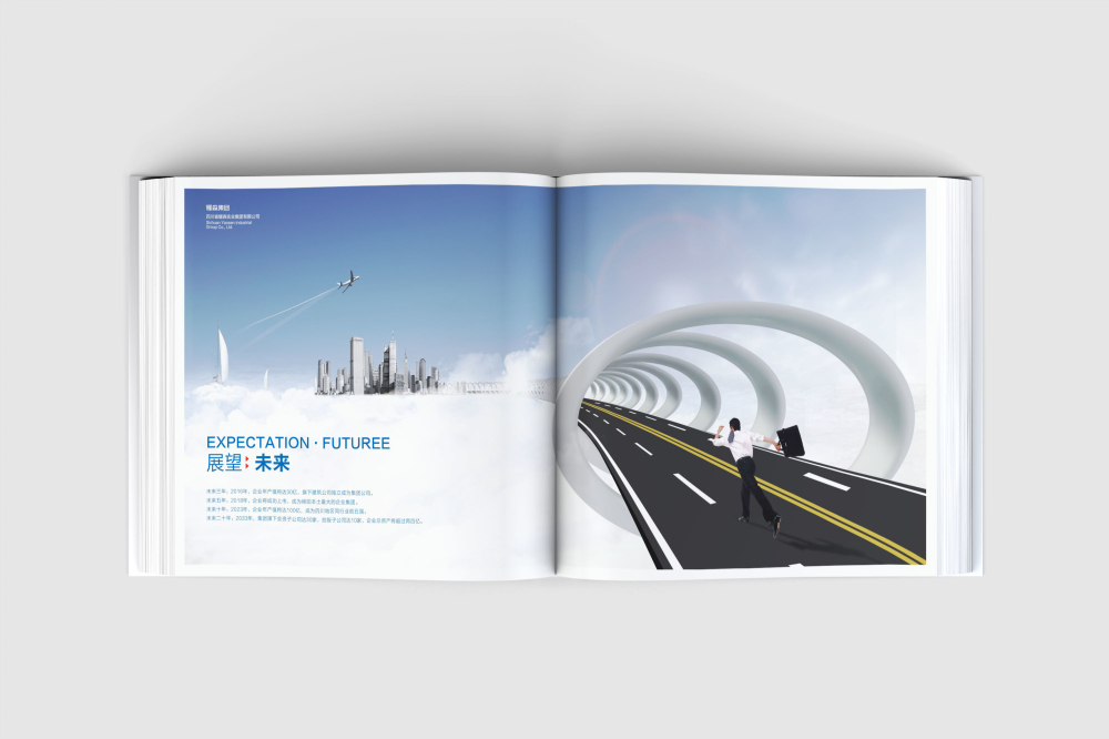 明山区画册设计